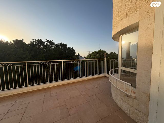 שושנת הכרמל 41