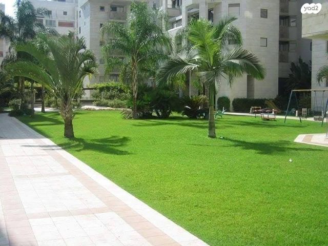 לוין קיפניס 5