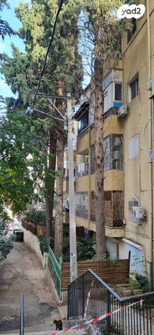 דירה, מדרגות צפת, חיפה