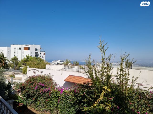 דירת גן, בליטנטל, רמת אלמוגי, חיפה