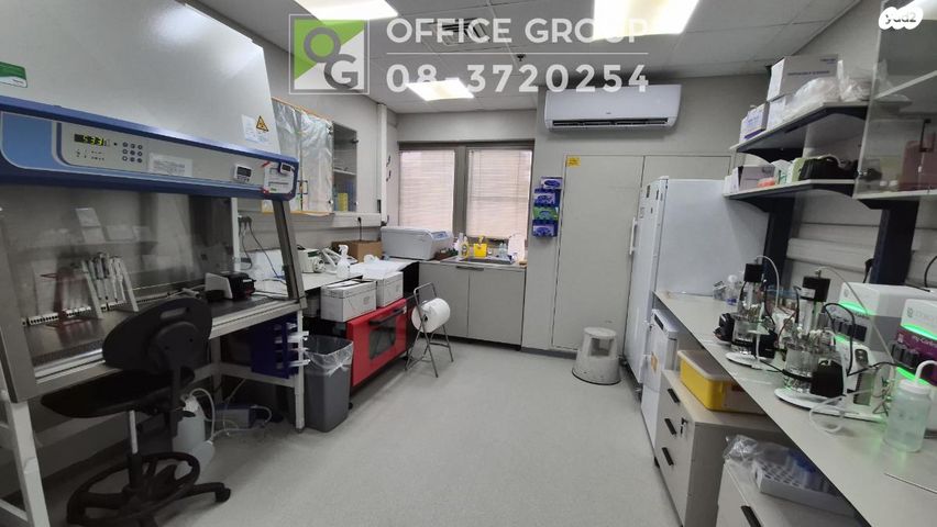 דרך מאיר וייסגל 