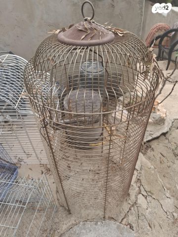 תמונת מודעה - חיות מחמד