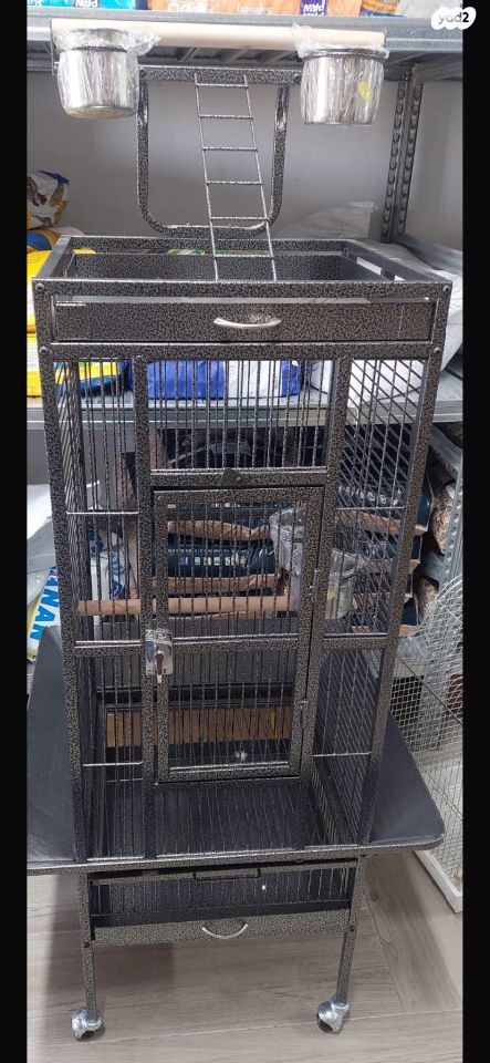 תמונת מודעה - חיות מחמד