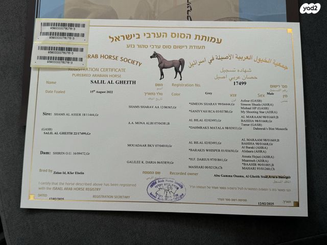 תמונת מודעה - חיות מחמד