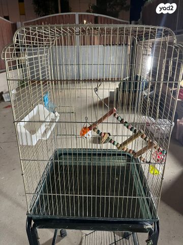 תמונת מודעה - חיות מחמד