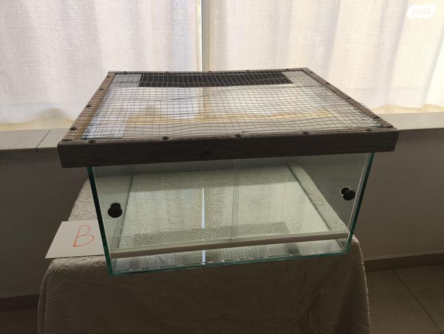 תמונת מודעה - חיות מחמד