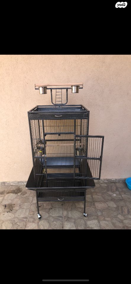 תמונת מודעה - חיות מחמד