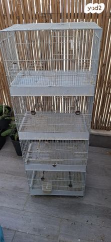 תמונת מודעה - חיות מחמד