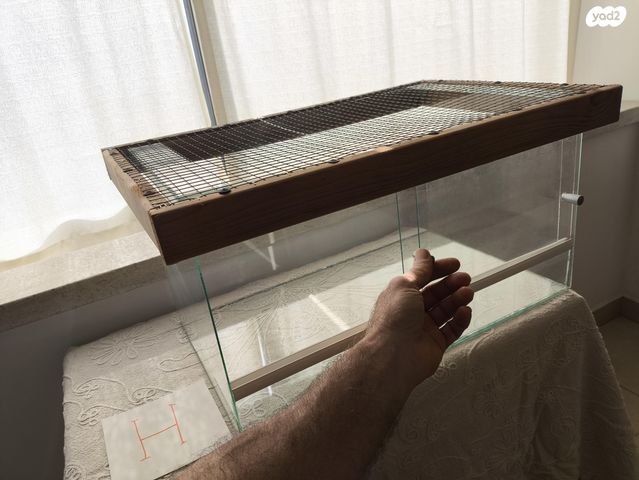 אביזרים | טרריום