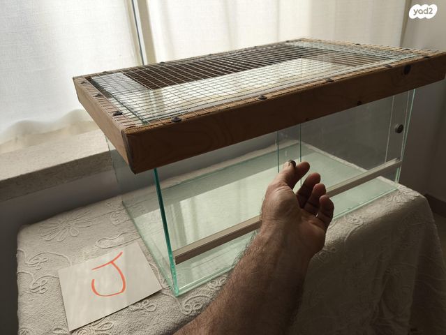 אביזרים | טרריום