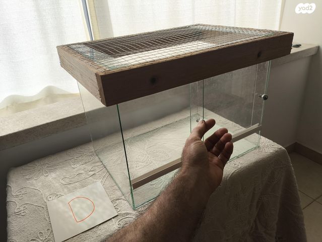 אביזרים | טרריום