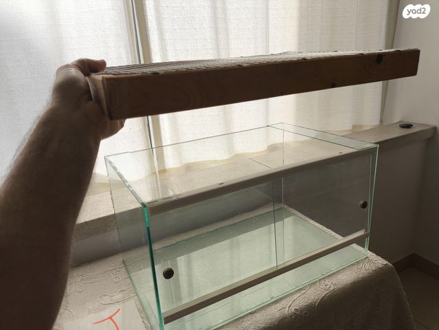 אביזרים | טרריום