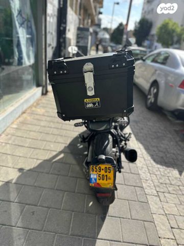 בנלי LEONCINO500