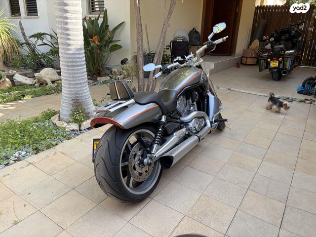 הרלי דיווידסון V-Rod 1250