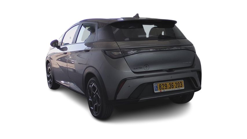 בי.ווי.די דולפין