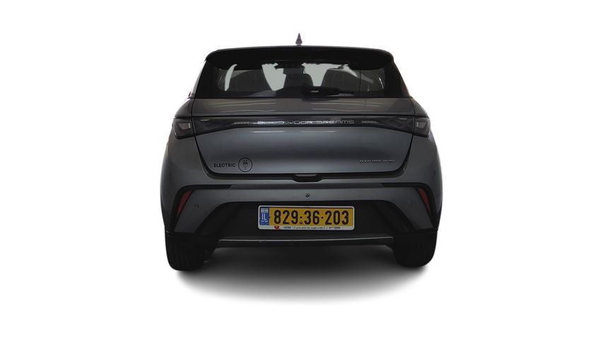 בי.ווי.די דולפין