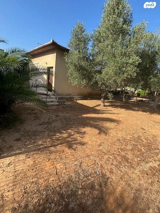 בית פרטי/ קוטג', כצנלסון 27, מרכז מזרחי, נס ציונה