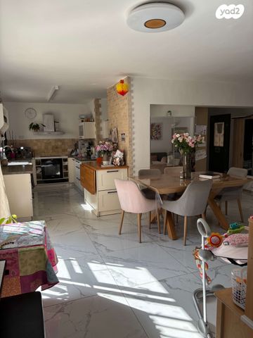 משה נובומיסקי 2