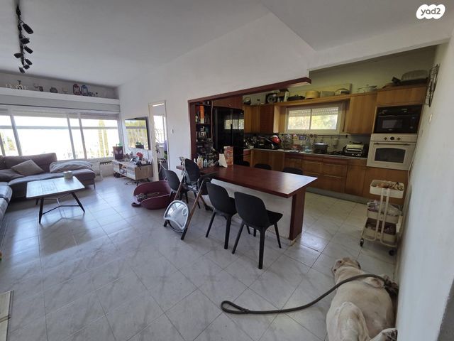 דירה, אלברט איינשטיין 45, אחוזה, חיפה