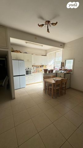 דוד פרנקפורטר 5