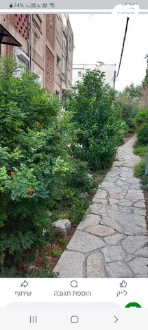 מדרגות אל גזאלי 7