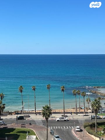 ז'בוטינסקי 4