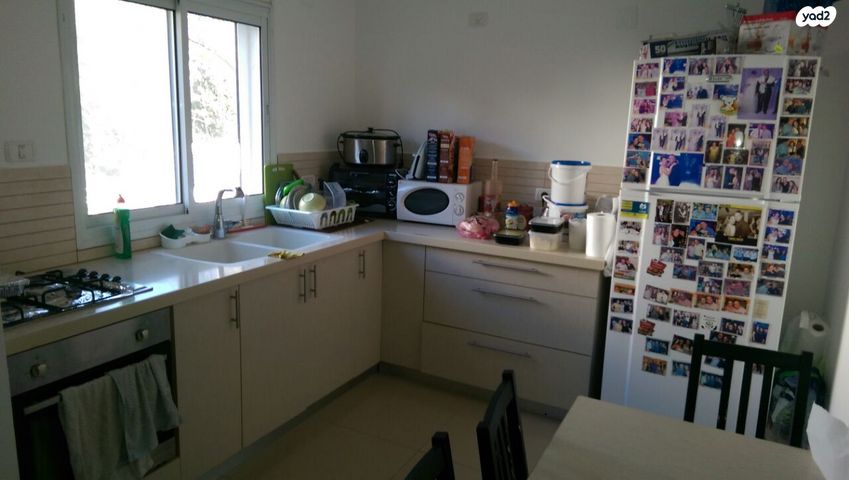 פרופסור יגאל ידין 43