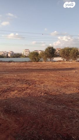 מגרשים, הר סיני 26, יד התשעה, שביב, הרצליה