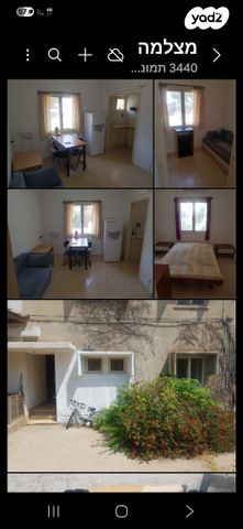 איילת השחר 1