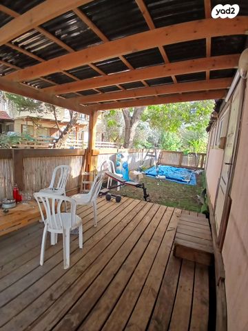 שדרת האקליפטוס 1