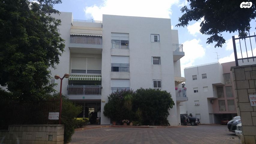 רחבעם זאבי 31