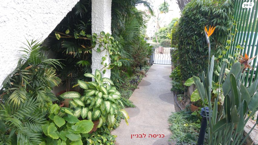 דירה, הרצל 14, מרכז מערבי, נס ציונה