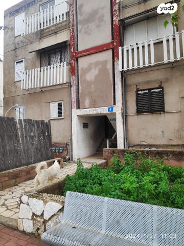 דירה, החלוץ 4, גבעת אולגה, חדרה