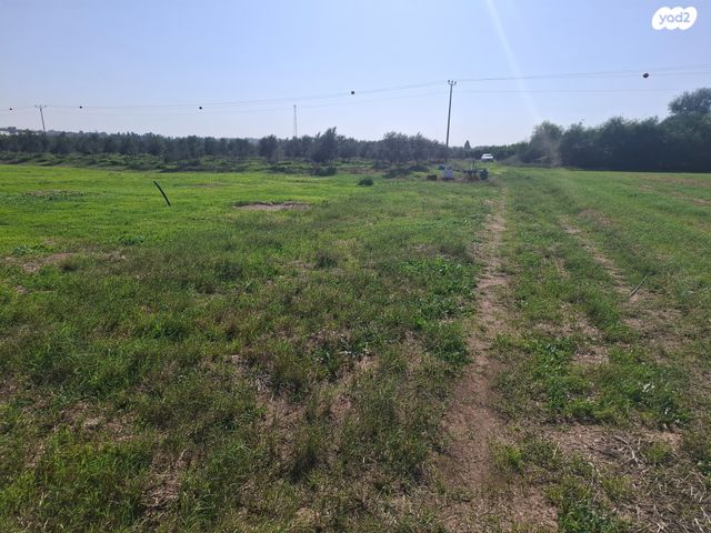 משק חקלאי/ נחלה