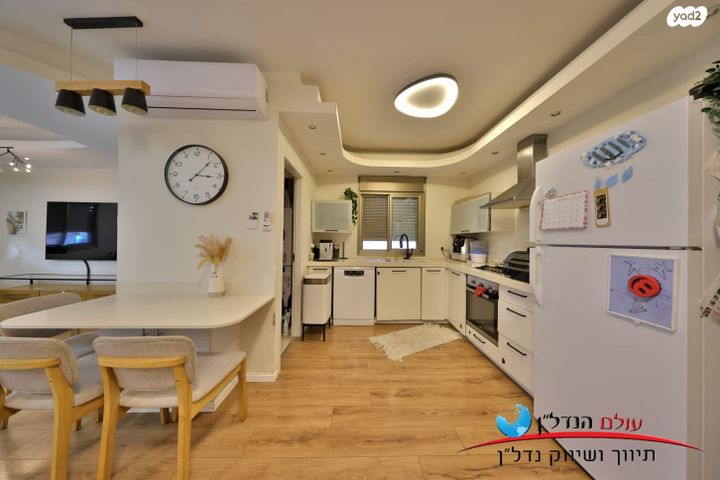 אלכסנדר זייד 