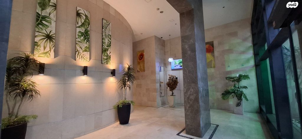 האחים סולימן 