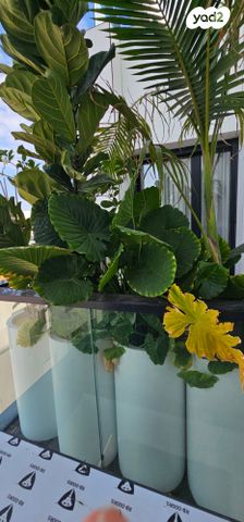 דירה, שדרות ביאליק, רמת השרון