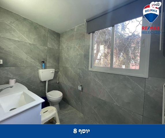 דירה, יוסף, הדר מרכז, חיפה