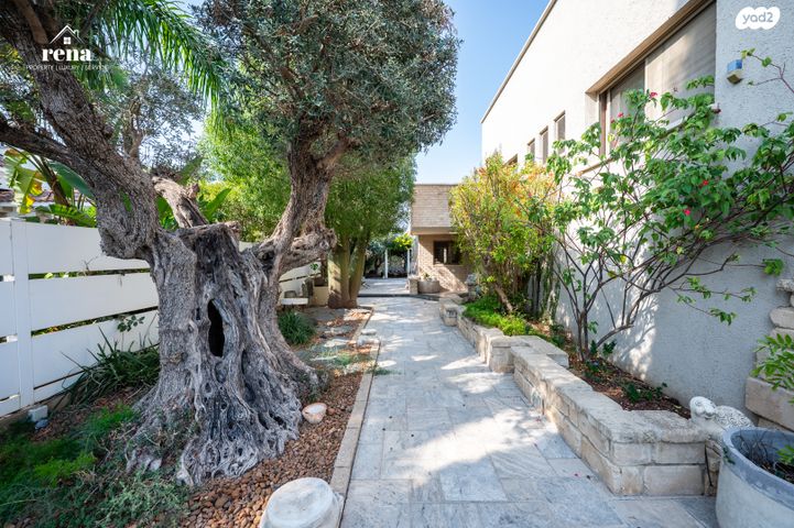 בית פרטי/ קוטג', המעוף, קיסריה