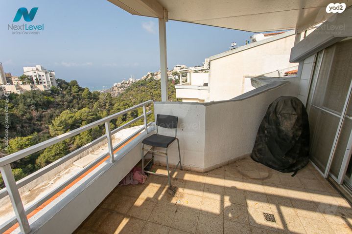 דופלקס, מנחם בייליס, כרמליה, חיפה