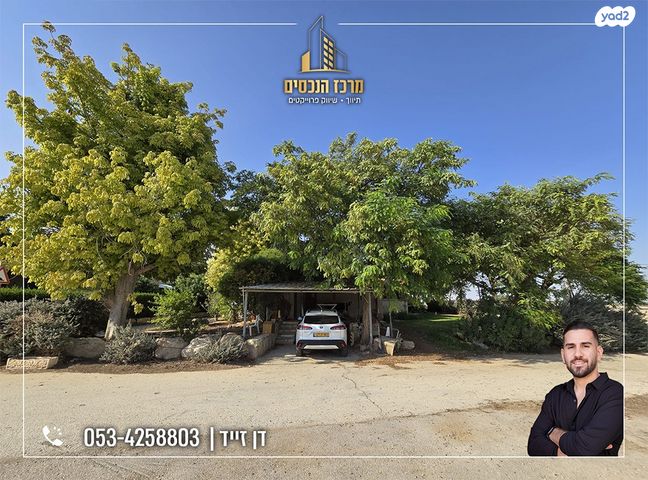 דירת גן, אלמוג