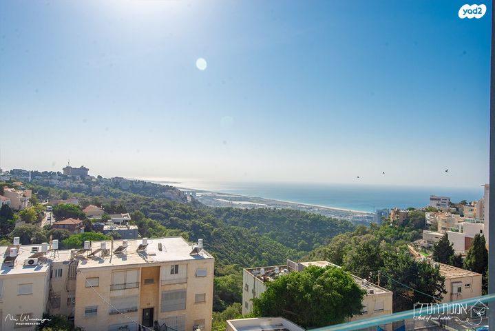 דירה, כרמליה, חיפה