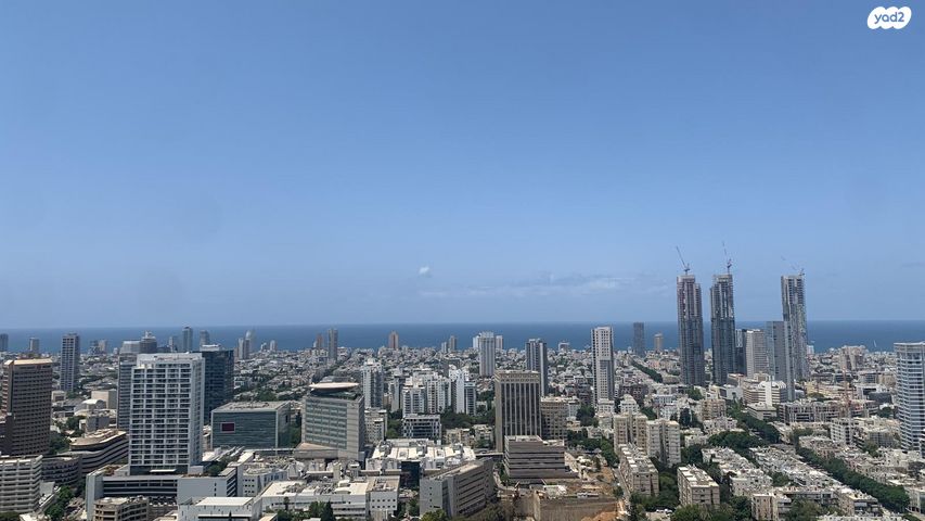 הרב ניסנבאום 