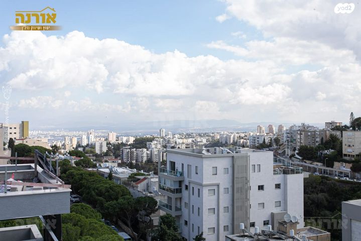 בנימין ד'ישראלי 