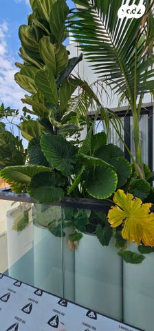 דירה, שדרות ביאליק, רמת השרון