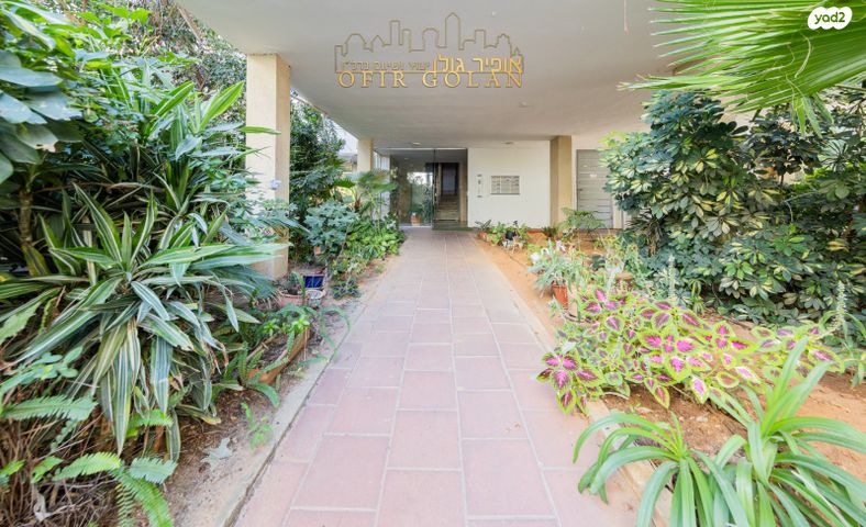 דירה, הרצליה