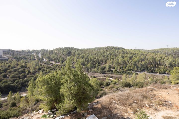 דירה, בית שמש