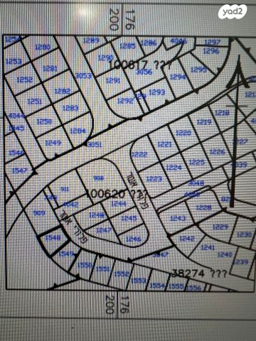 מגרשים, פלורי אשר, כלניות, באר שבע