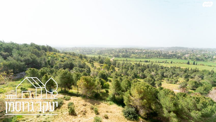 דירה, נחל אלכסנדר, צור יצחק, צור יצחק