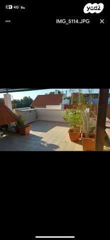 גג/ פנטהאוז, החנית, מרכז, הרצליה